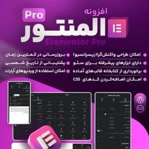 ویژگی های افزونه المنتور پرو